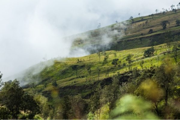 Trekking Package Per 2 Persons