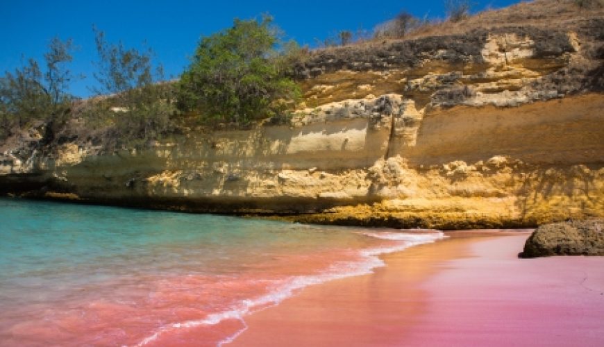 Pink Beach One Day Tour